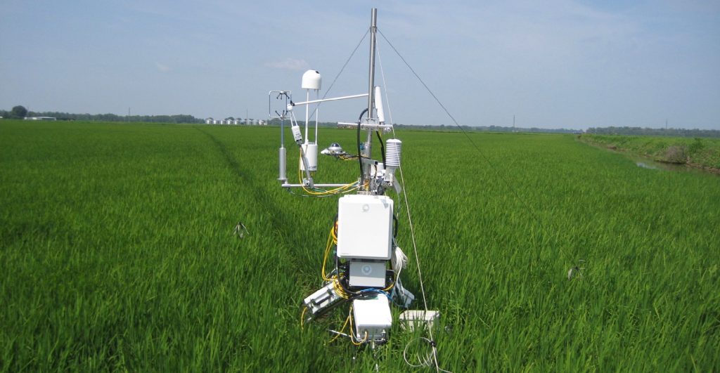 AmeriFlux Tech Team's PECS doing Methane flux measurements with open path LICOR 7700, at AmeriFlux site US-HRA, June 2015. Photo cr. Stephen Chan